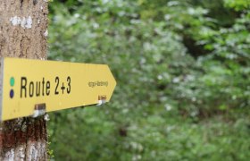 Ir&aacute;nyjelző ny&iacute;l t&uacute;ra&uacute;tvonal, &copy; "Tut Gut!"