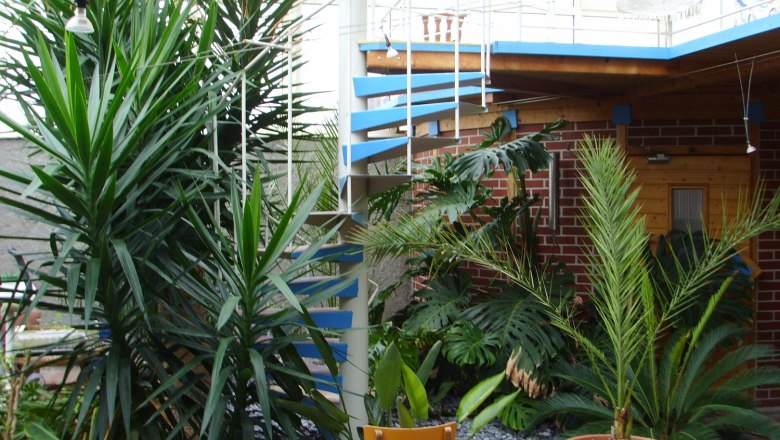 Belső udvar n&ouml;v&eacute;nyekkel &eacute;s csigal&eacute;pcsővel.