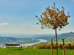 Ausblick von Klostergarten in Maria Taferl auf Donau und Nibelungengau, © Donau Niederösterreich / Klaus Engelmayer