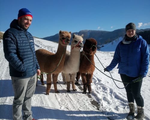 Biofarm MItterhirschberg, &copy; Familie Schweighuber