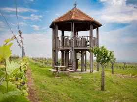 KWTD, Fels am Wagram, Aussichtswarte, Donau Nieder&ouml;sterreich, &copy; Donau Nieder&ouml;sterreich / Barbara Elser