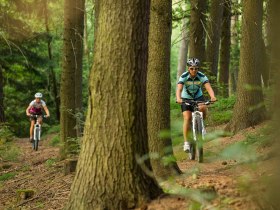 MTB Waldviertel, &copy; Waldviertel Tourismus, Erwin Haiden, nyx.at