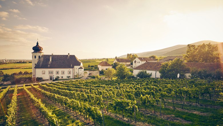 A Freigut Thallern Ausztria egyik legrégebbi borászata. , © Andreas Hofer