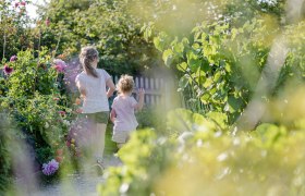 Museumsdorf_Niedersulz_Gartensafari 11&copy;Nieder&ouml;sterreich Werbung_Claudia Schlager, &copy; Nieder&ouml;sterreich Werbung / Claudia Schlager