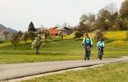 Zwei Radfahrer fahren auf einem geschwungenen Weg durch blühende Wiesen und sanfte Hügel. Die Natur des Dirndltals bildet eine idyllische Kulisse für sportliche Aktivitäten.