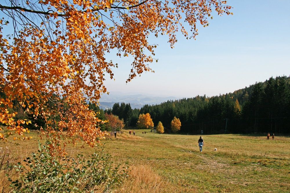 Mönichkirchen