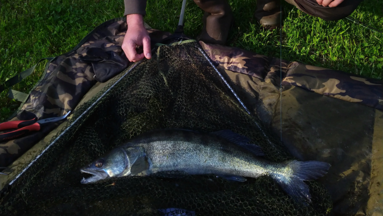 IMG_20210523_184344~2, &copy; Gemeinde P&ouml;lla