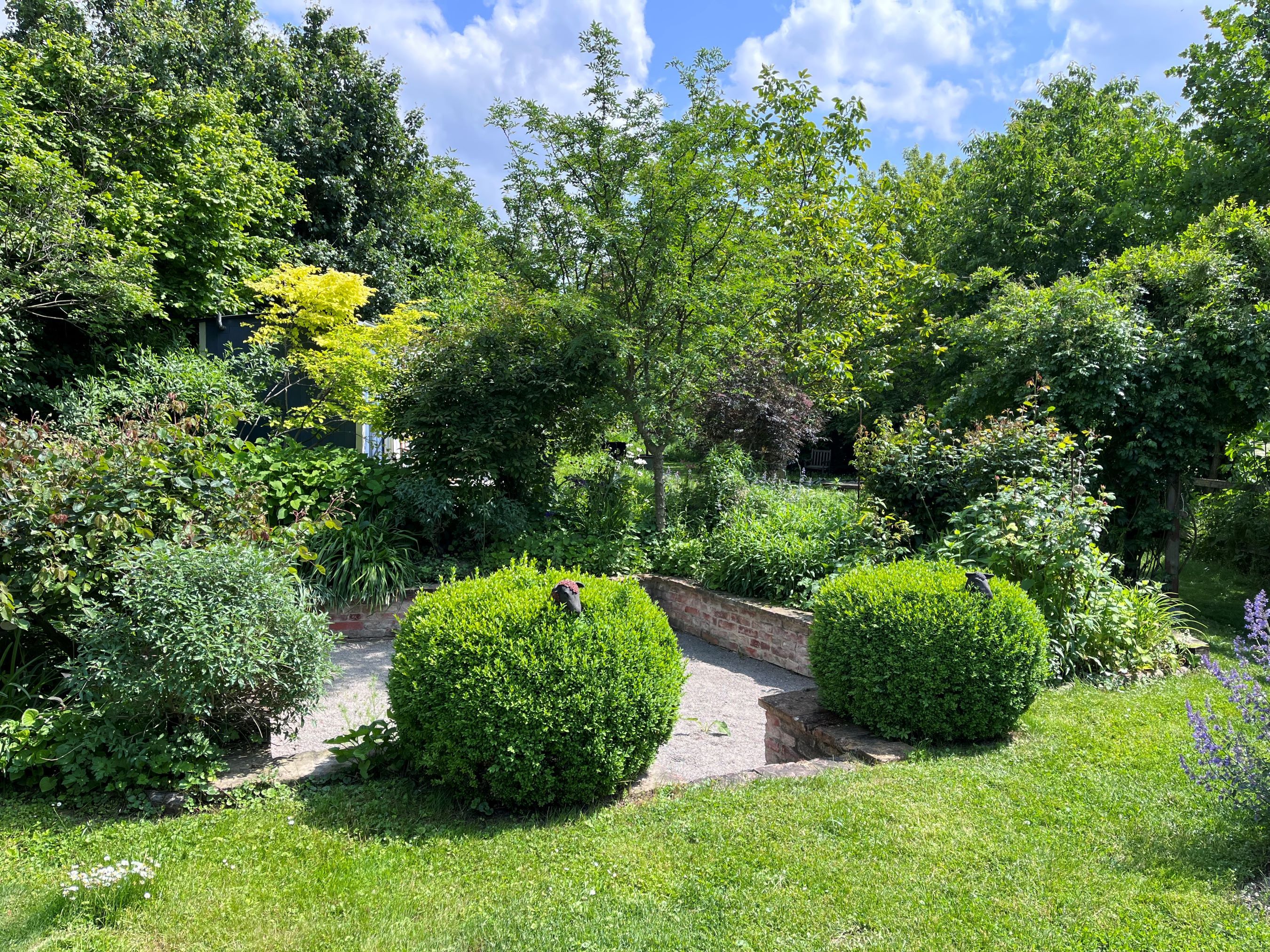 Zöld bemutatókert cserjékkel, fákkal és kövezett ösvénnyel.