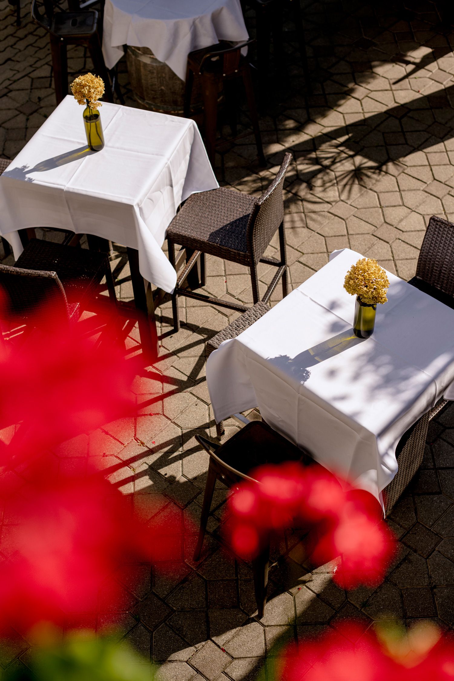 Gasthof Hoffmann, vendégkert 