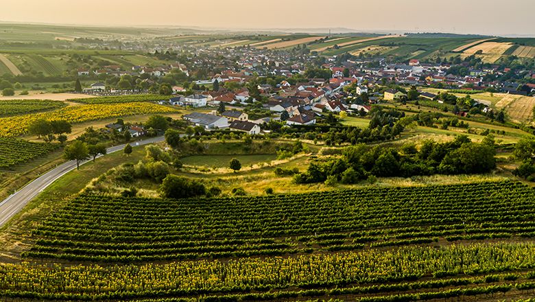 Herrnbaumgarten légifelvétele, előtérben szőlőültetvényekkel.