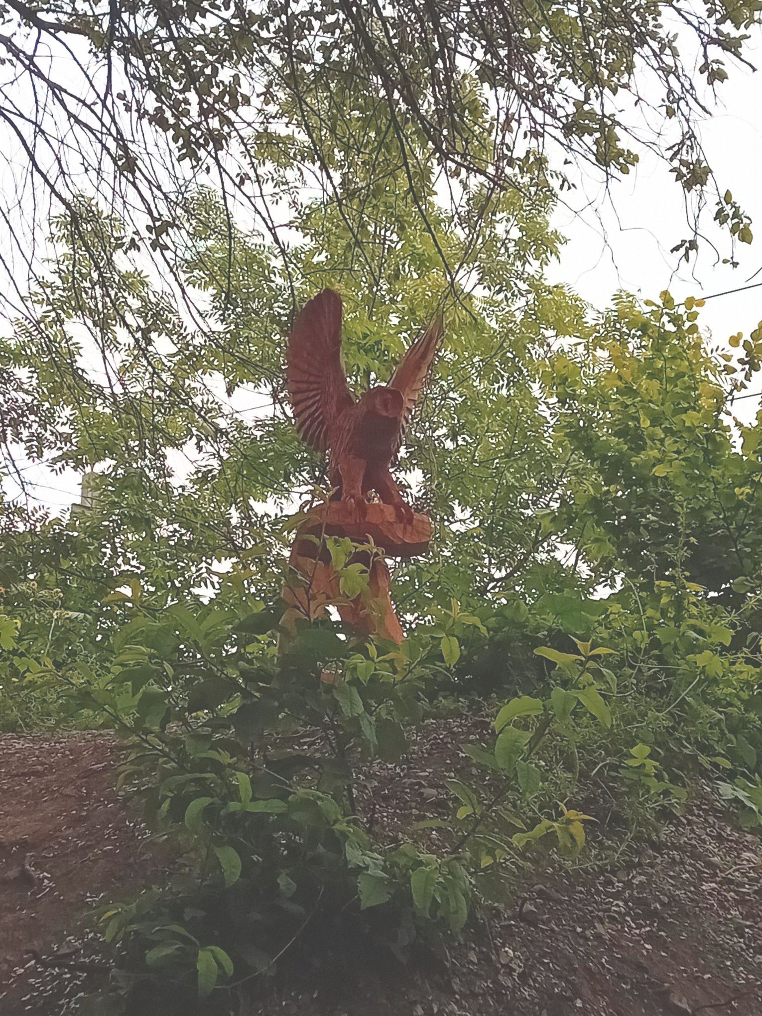 Fafaragó figura