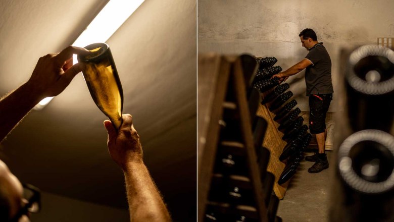 Kézzel készült nedű: bor- és pezsgőpincészet, © Niederösterreich Werbung/Michael Prügl