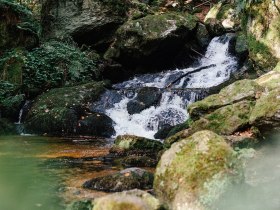Wandern, Yspertal, Ysperklamm, Druidenweg, s&uuml;dliches Waldviertel, &copy; Nieder&ouml;sterreich Werbung/Melanie Kerzendorfer