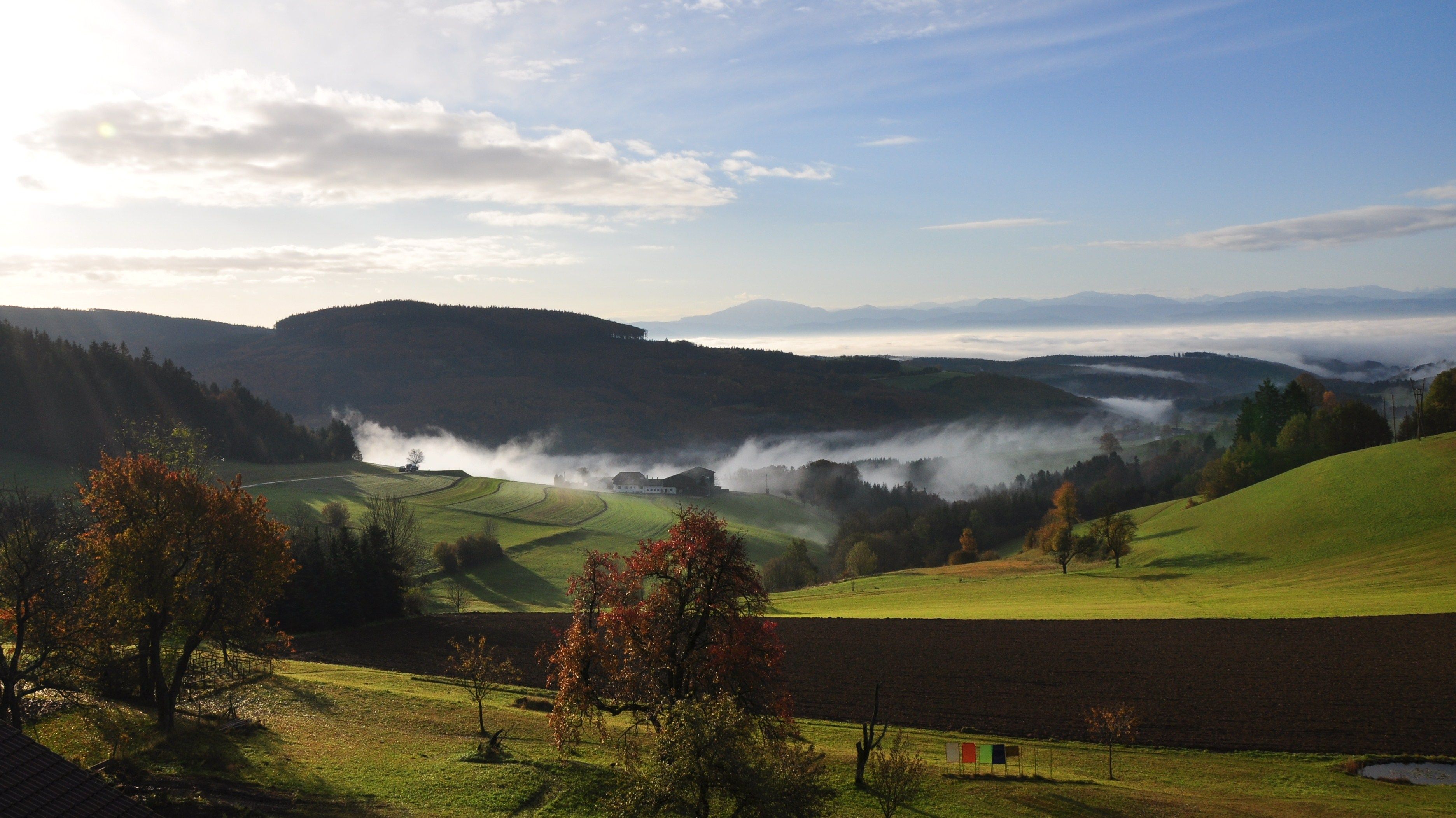 Tájkép a déli Waldviertelben, dombokkal, fákkal és köddel.