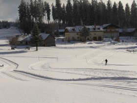 Langlaufen in B&auml;rnkopf - Ortsloipe 1, &copy; Waldviertel Tourismus
