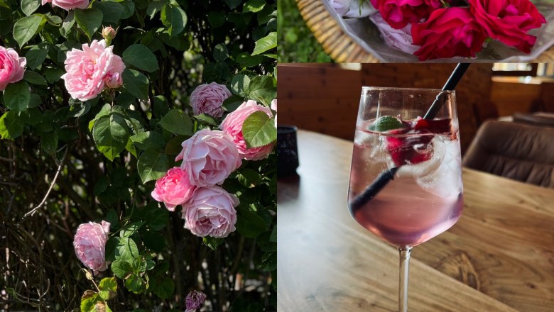 Special drinks with homemade rose syrup, &copy; Anita Gradwohl, dahoam