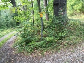 Wanderweg Nr. 30, Eichen und Eulen, &copy; Gemeinde Allentsteig