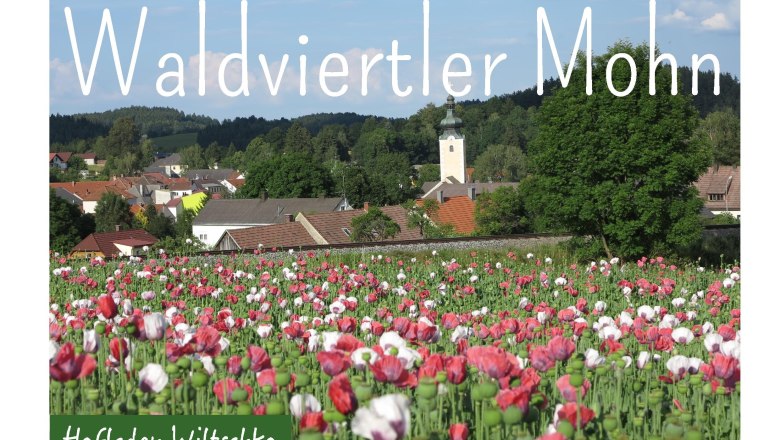 Poppy seed, &copy; Hofladen Wiltschko