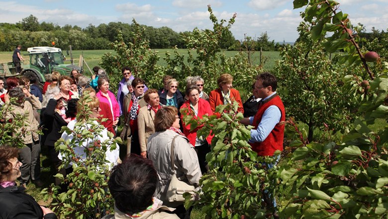 Operational management, &copy; Ing. Wolfgang Hackl