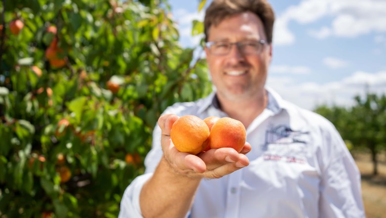 Apricot farm Hackl, &copy; Netzwerk Kulinarik/pov.at
