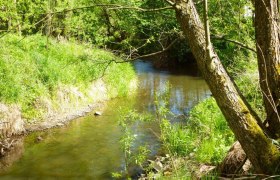 Waldviertel Seminar House Gauguschm&uuml;hle, &copy; Waldviertler Seminarhaus Gauguschm&uuml;hle