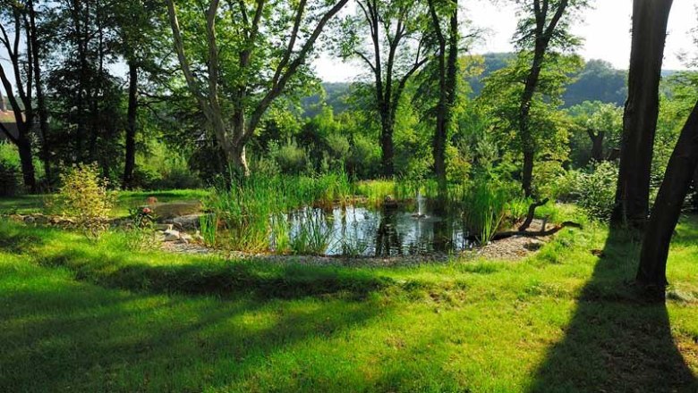 Historic park area, &copy; Schlosspark/mesonic