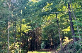 A Rossatzbacher Seegraben az Adeleh&uuml;tt&eacute;n&eacute;l, &copy; Radler-Rast