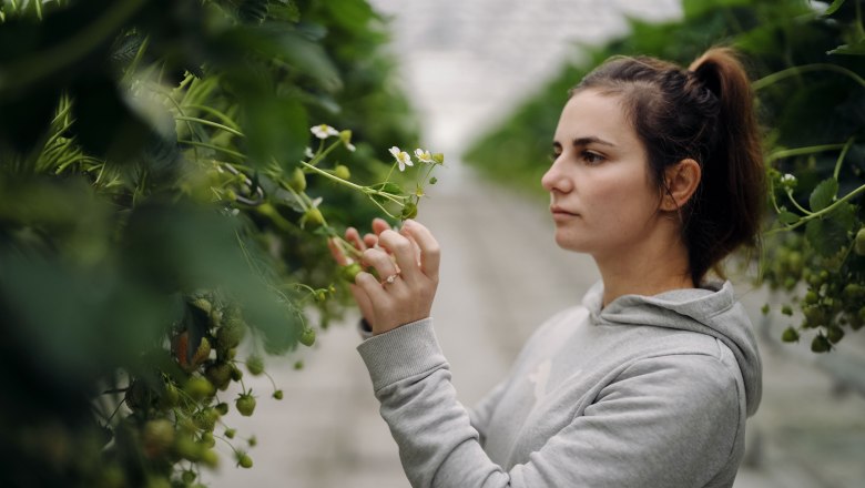 Lehners Beerenstadl, &copy; Moststra&szlig;e, dochbodnliacht