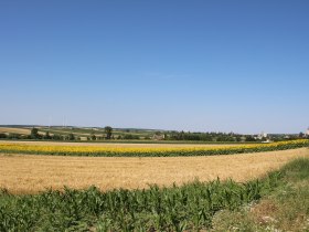 Familienradroute, &copy; VinoVersum Poysdorf