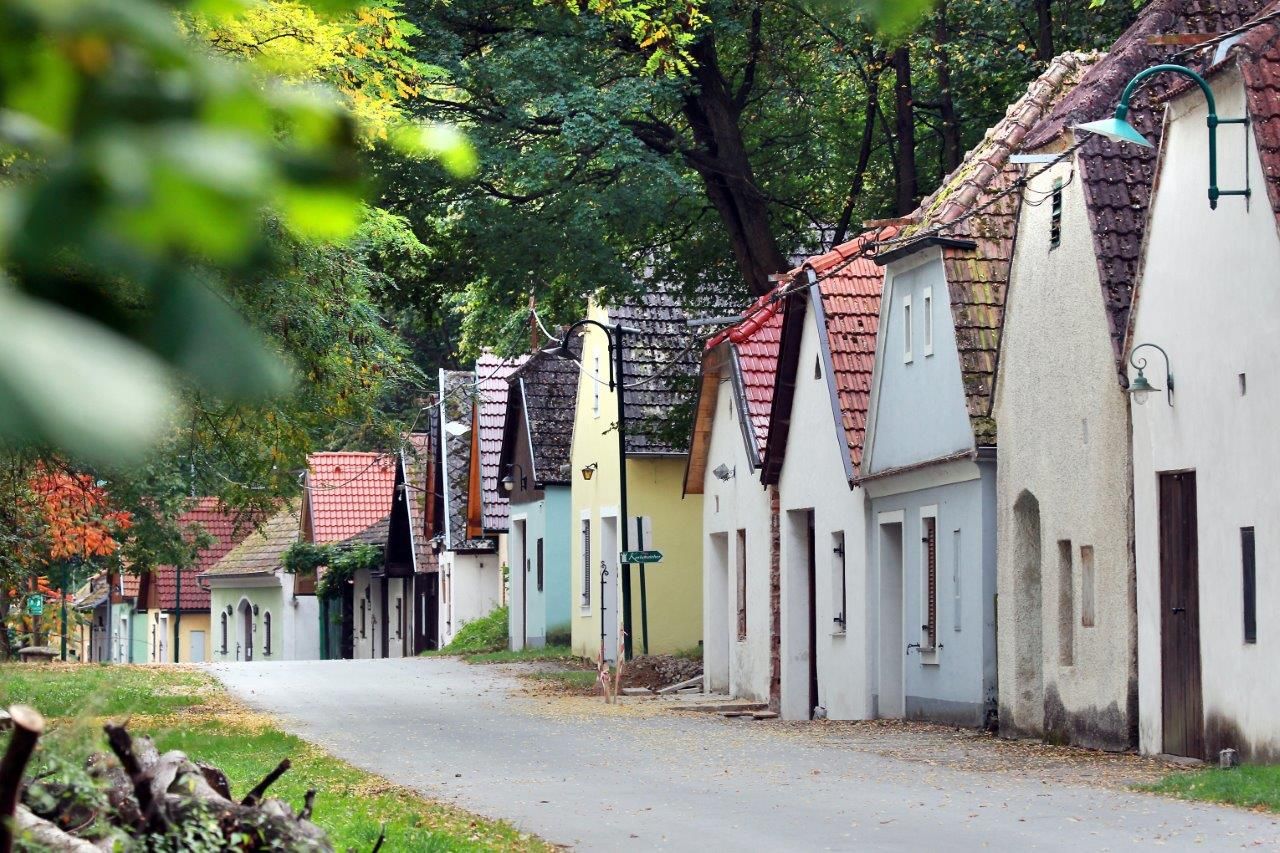 Borospincék sora zöld, erdős környezetben.