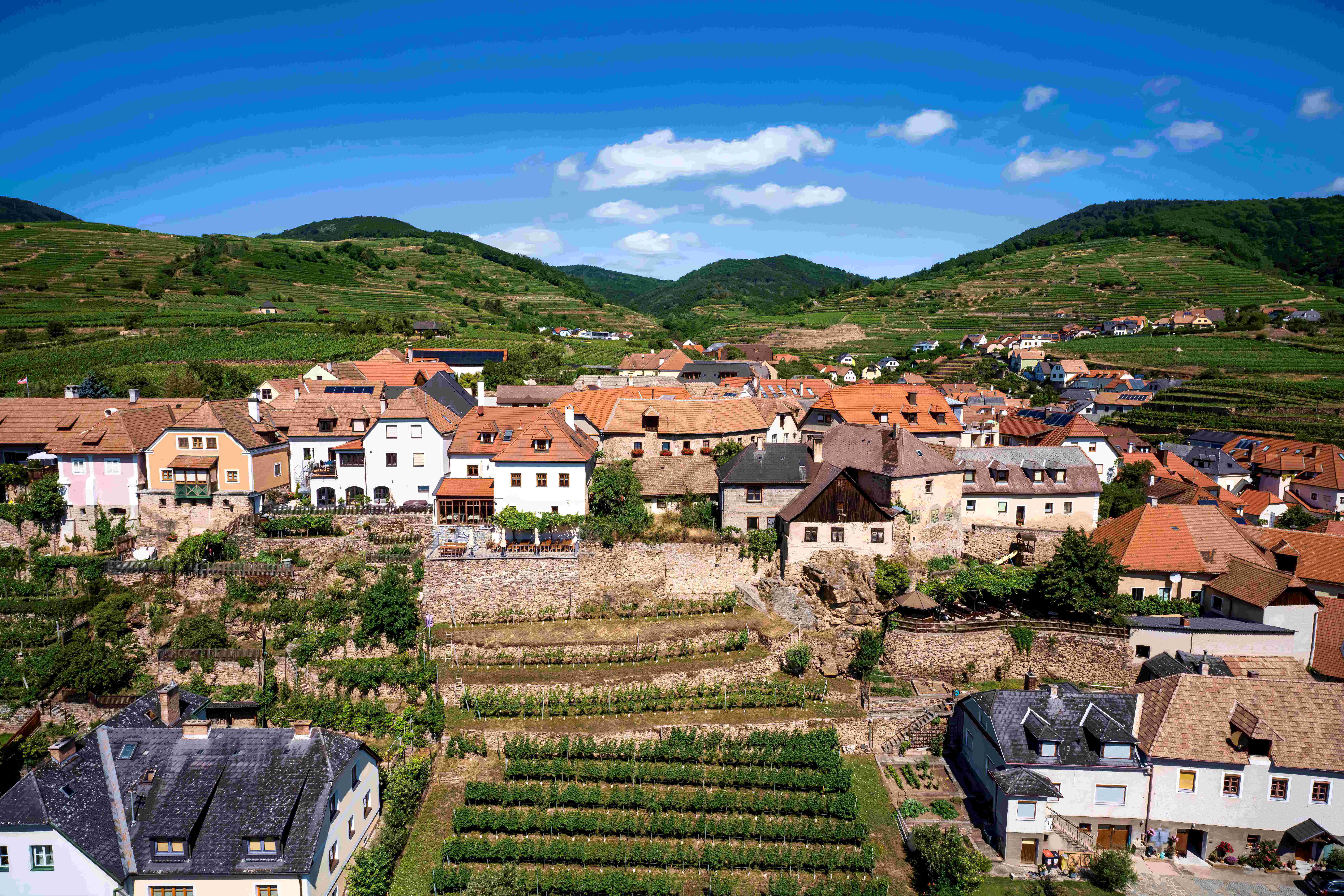 Weißenkirchen látképe, a háttérben Burg városrész számos házzal, szőlőskerttel és dombokkal