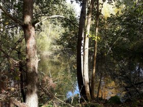 Naturparkweg (Tut-gut Route 2), &copy; Stadtgemeinde Schrems