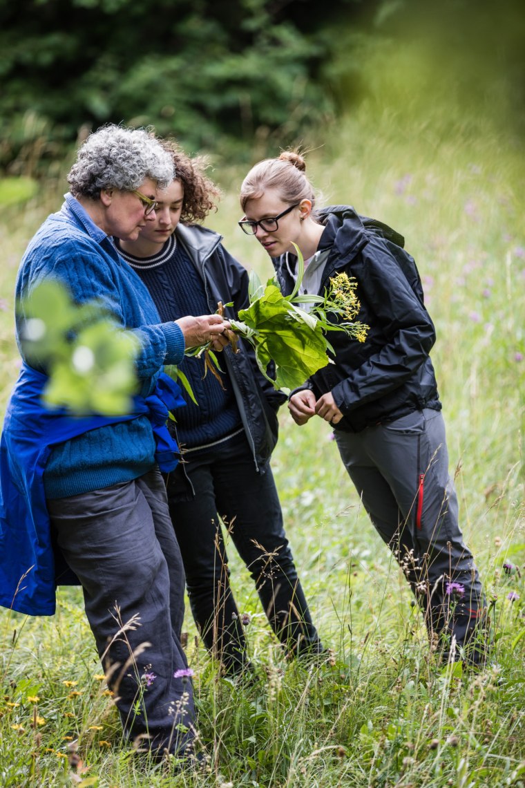 Gyógynövénytan a természetben., © Fred Lindmoser