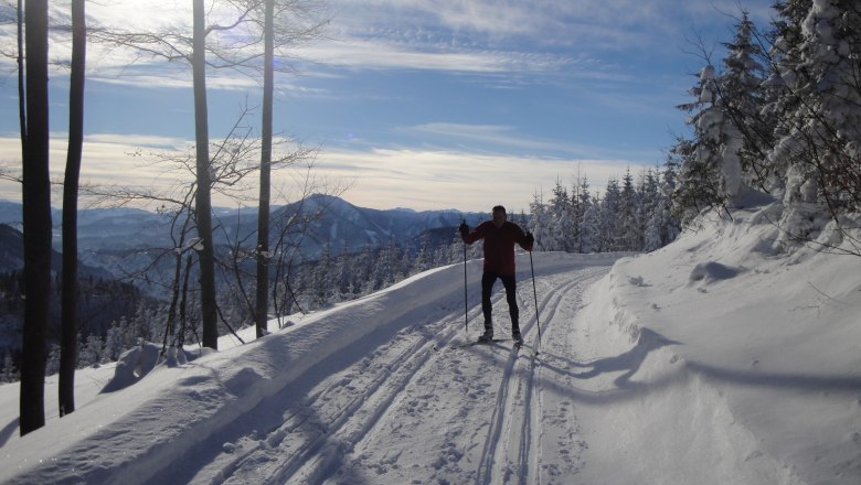 Cross-country skiing in Puchenstuben, &copy; Gemeinde Puchenstuben