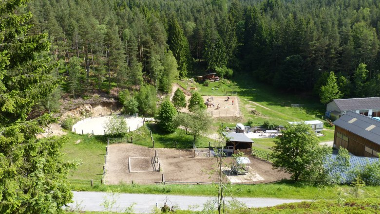 Horse stable, &copy; Pferdehof Kurzmann