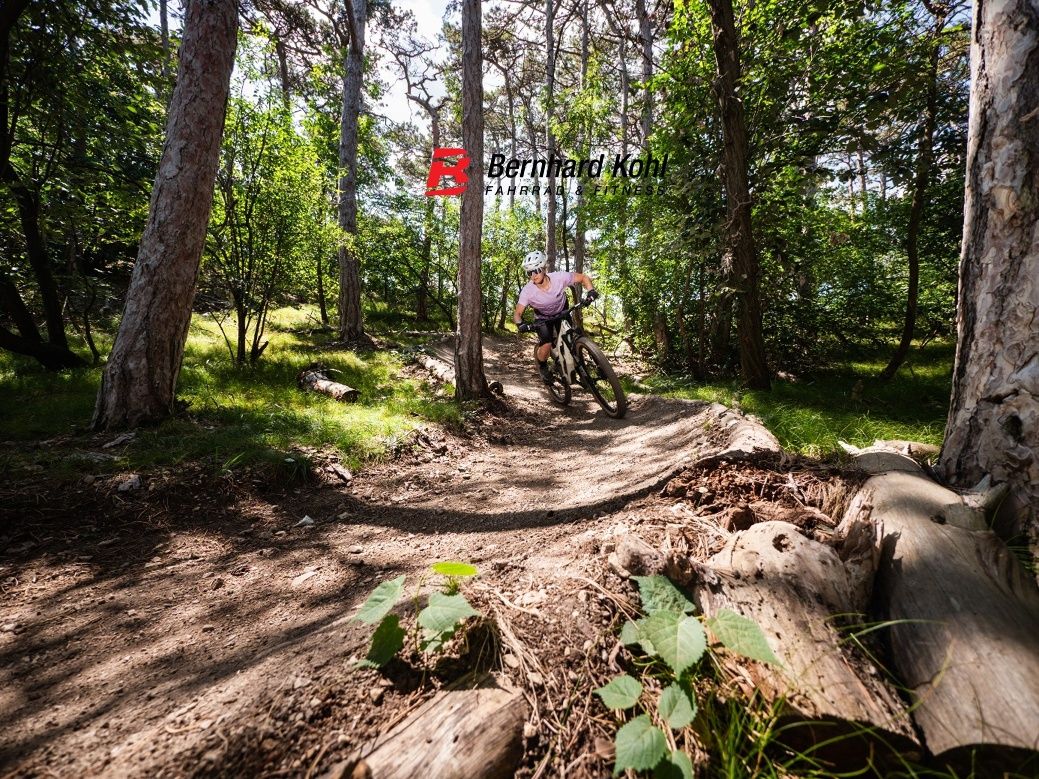 MTB terület Anninger