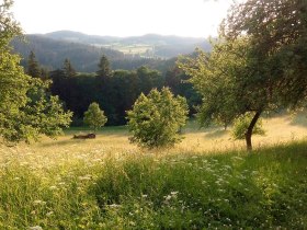 Rappottenstein - Blick von der Burg, &copy; &copy; waldsoft
