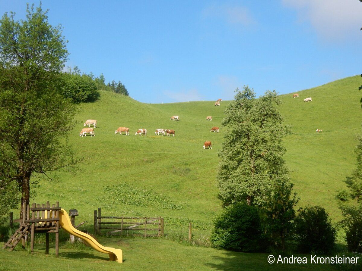 Üdülés a tanyán - Oberrehau