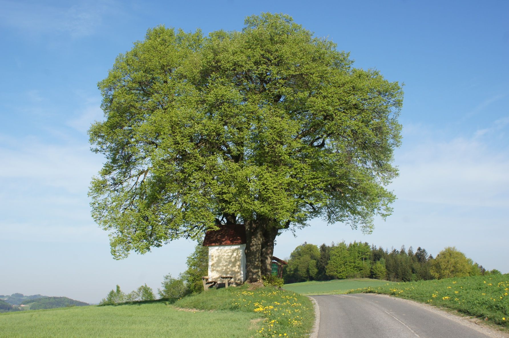 Brandstätter kereszt