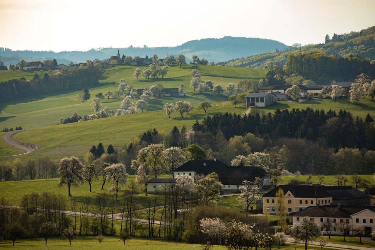 Fotó pont Zeilinger