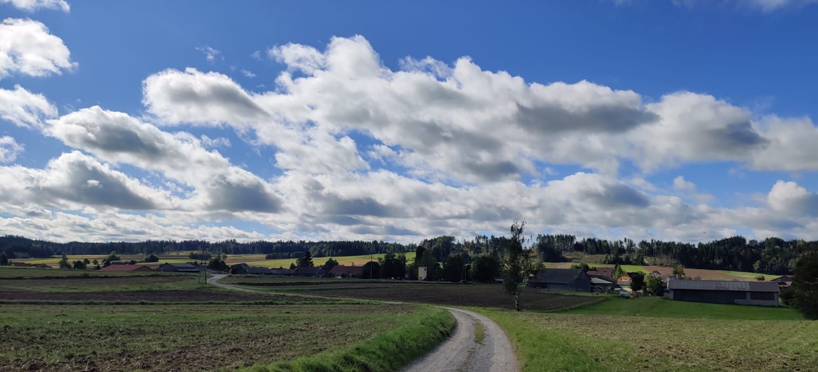 Auberg-út