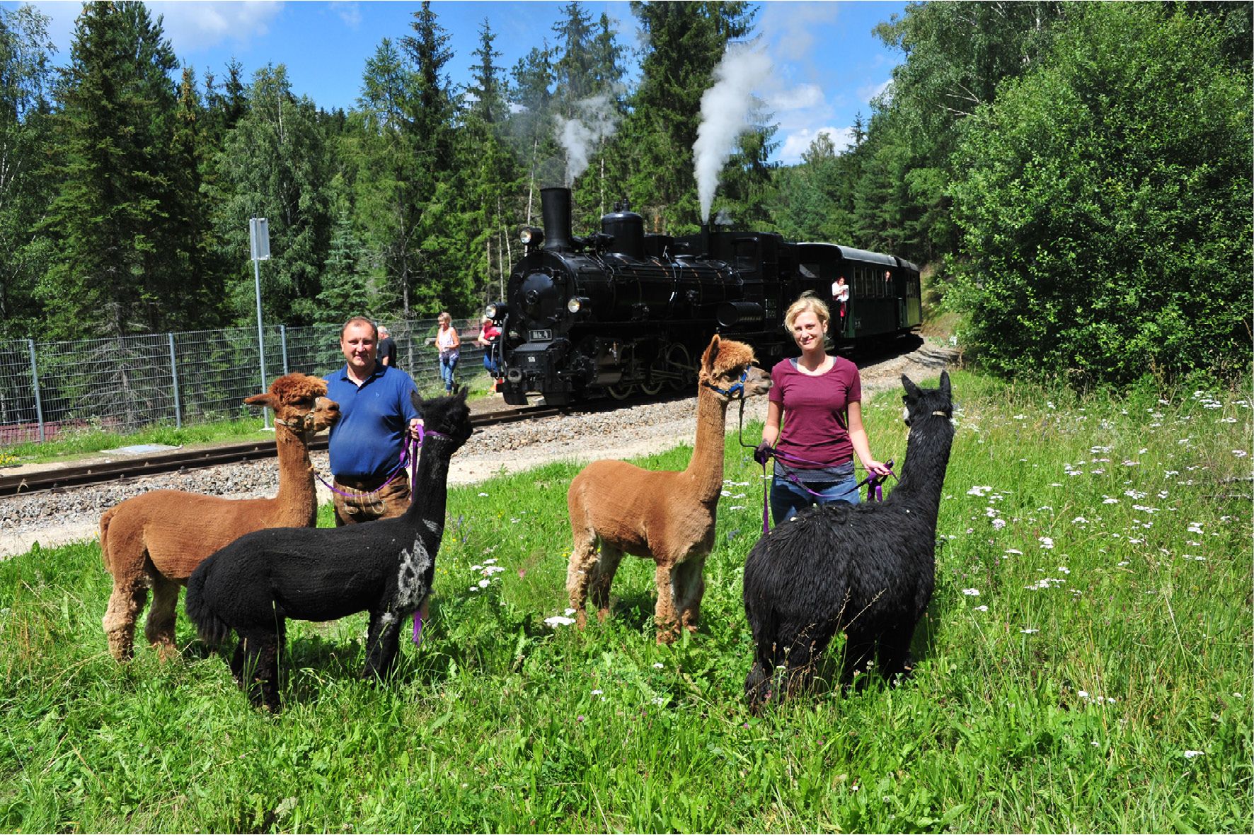 SONNSEITNhof Alpaks és a Waldviertel vasútvonal