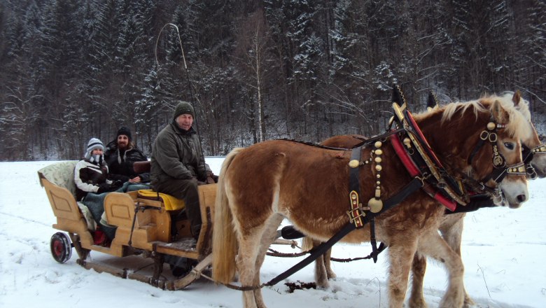 Sledging in winter, © Familie Gasteiner