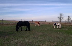 Horse hike, &copy; Sabine Strasser