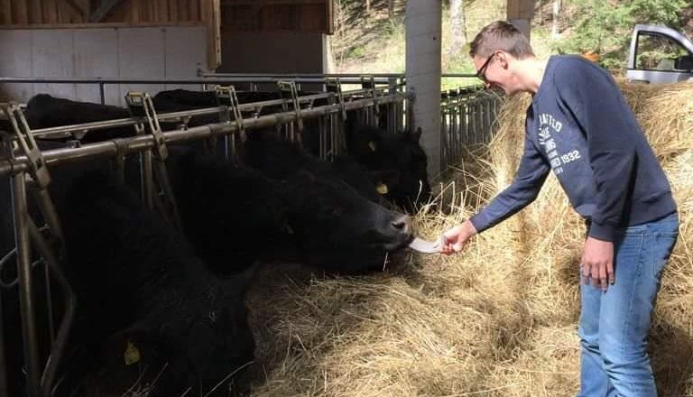Organic Angus beef, © Manuela Toifl
