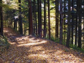 Hergerberg, &copy; Gemeinde Kasten