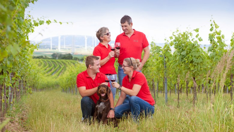 Organic winery Raser-Bayer, H&ouml;flein, &copy; Raser-Bayer
