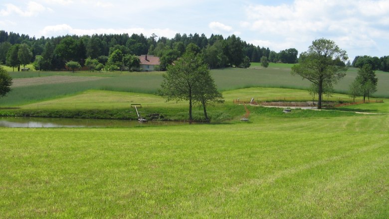 Az erdőben itt korábban Grasl rablókapitány garázdálkodott!, © Biohof Hammerschmidt