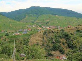 Jauerling-Runde 01: Spitz-Aggsbach Markt, &copy; Naturpark Jauerling-Wachau