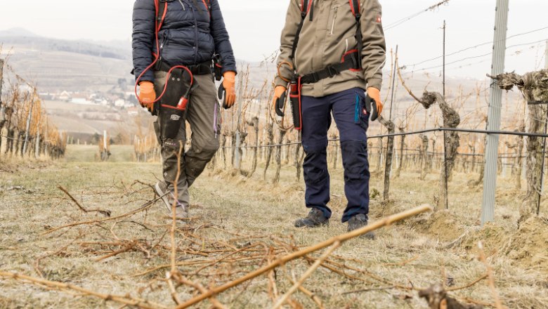 Holzheu Weinhof 4 new, &copy; ELISABETH FR&Ouml;HLICH photography